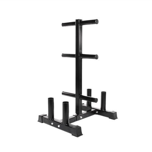 Vertical Olympic Plates and Bar Rack - DirectHomeGym