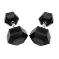 Fixed Hexagon Dumbbells (1 - 50KG) - DirectHomeGym