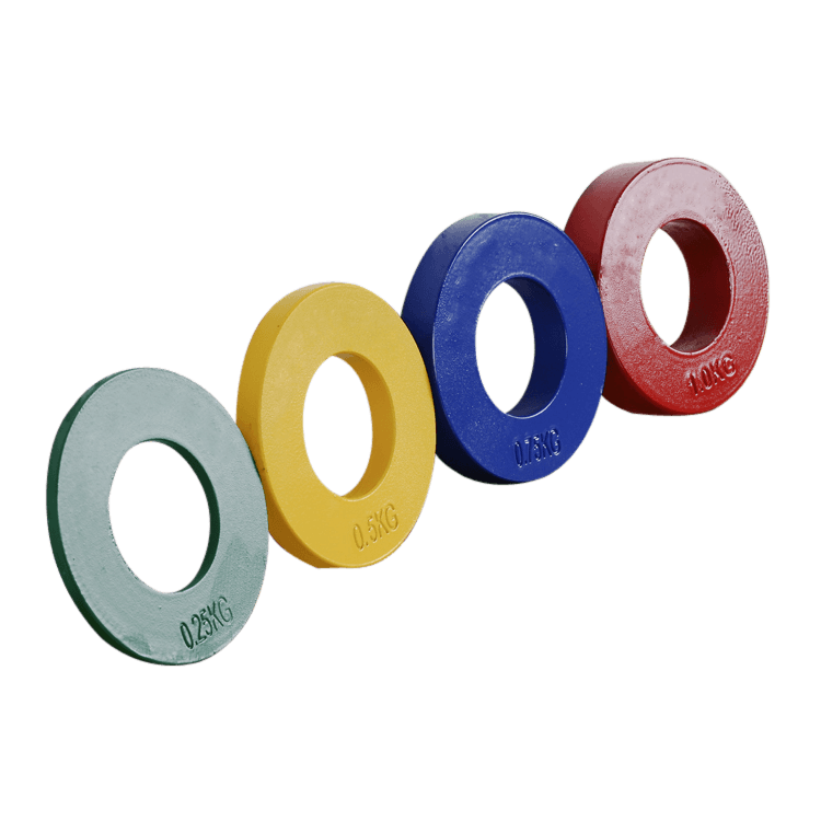 Fractional Weight Plates (One Set) - DirectHomeGym